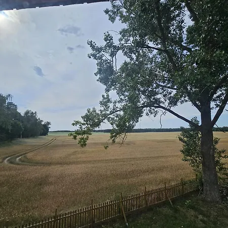 빌라 Almazowka - Cichy Wypoczynek Lub Integracja W Wiekszym Gronie Barzkowice